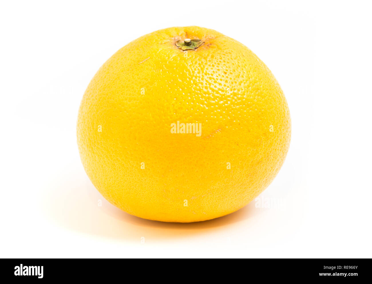 grapefruit on a white background Stock Photo
