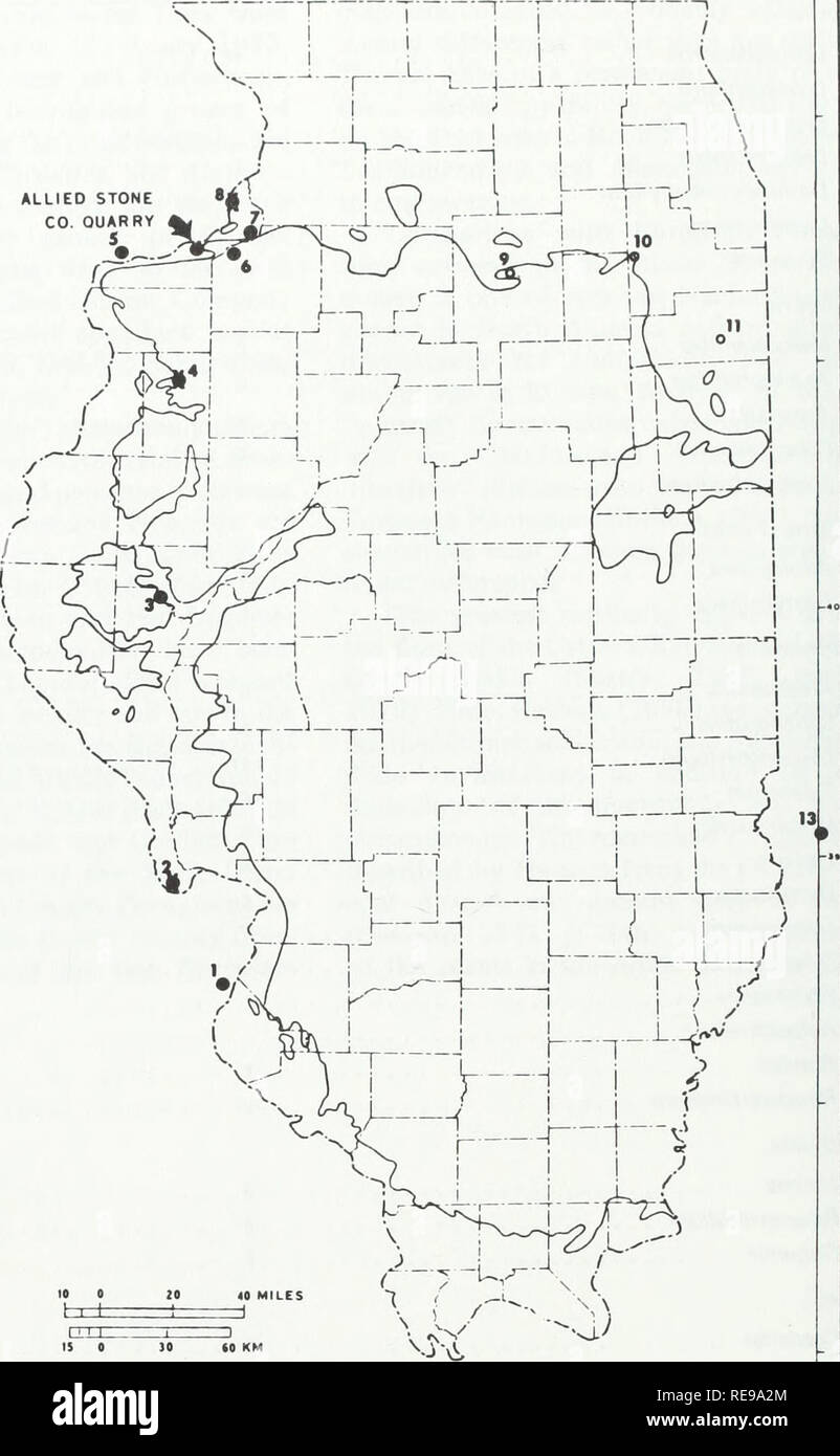 . Early Pennsylvanian paleotopography and depositional environments, Rock Island County, Illinois. Geology, Stratigraphic; Paleobotany; Paleobotany. 14 Guidebooklet: Illinois State Museum No. 4 1 St. Louis, Mo. 2 Golden Eagle 3 Brown County 4 Monmouth 5 Wyoming Hill, Iowa 6 Cleveland quarry 7 Midway quarry 8 Port Byron 9 La Salle County 10 Channahon 11 Kankakee 12 Putnam County, Ind. 13 Green County, Ind. ALLIED STONE CO. QUARRY. Figure 10. Map of reported localities of Early Pennsylvanian plant fossils on the margins of the Illinois (Eastern Interior) Basin. 12 Margin of Pennsylvanian strata  Stock Photo