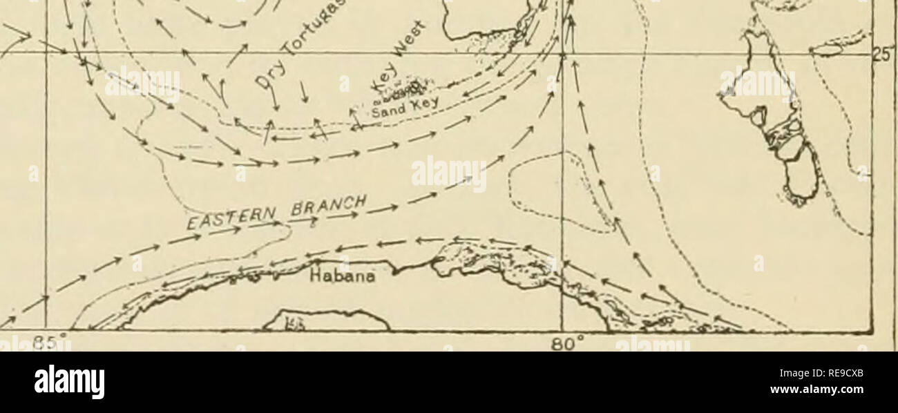 Gulf Stream Florida Keys - A Contribution To The Geologic History Of The Floridian Plateau Geology Mr F 5 A I I Quot Quot Quot A A A S Fig 3 Acurrent Chart Of Florida