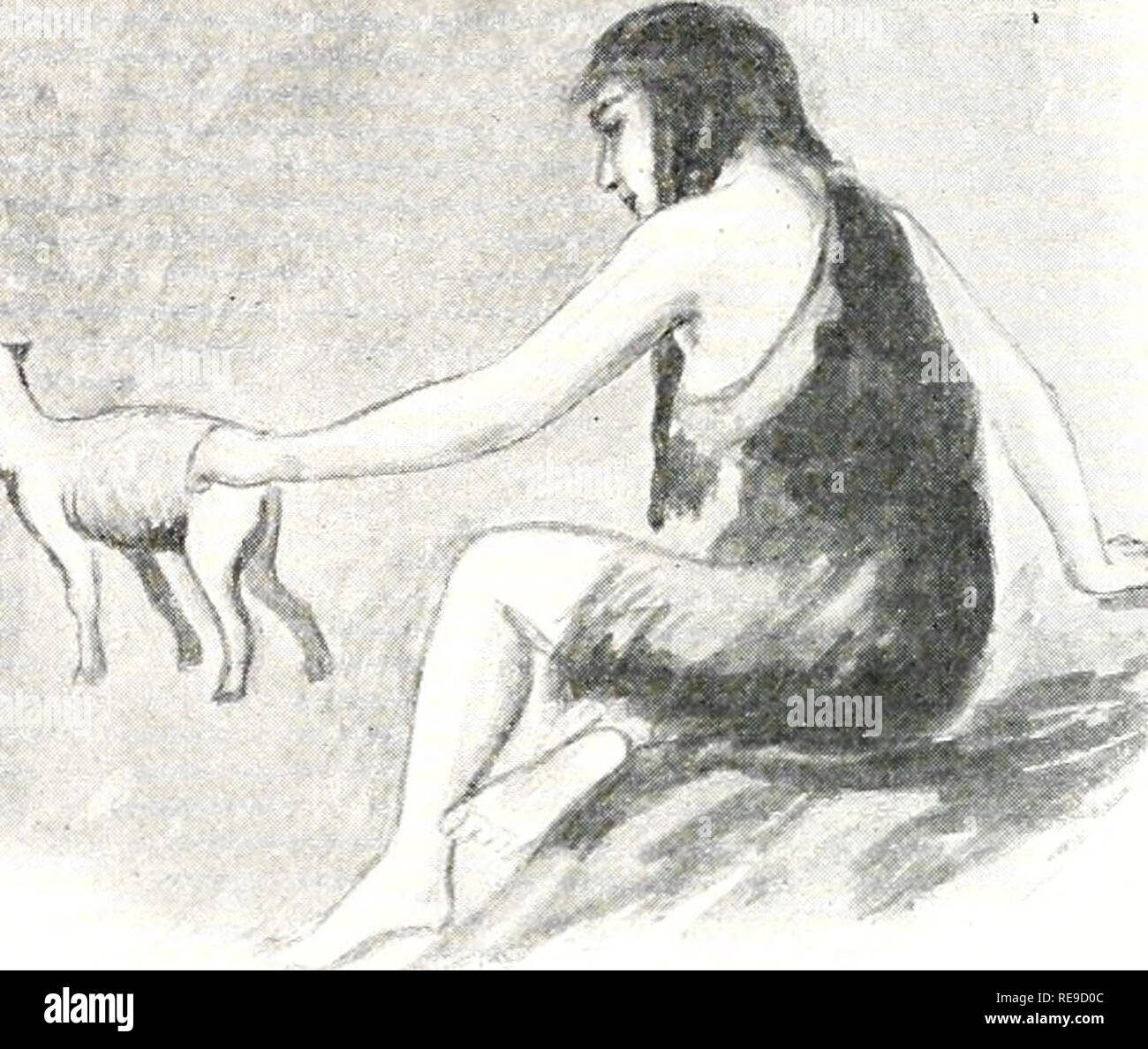 . The early herdsmen. Prehistoric peoples. 164 The Early Herdsmen i. She let the hunt) run to its mother Do-little and Eat-well looked puzzled. The other men laughed. For the lamb Many-dogs had in his game-bag was a live lamb. Spin-a-thread tethered the lame ewe and bathed its leg in fresh water. And although the ewe was very wild, she soon became quiet, for Spin-a-thread soothed the sheep with sweet songs and she let the lamb run to its mother. THINGS TO DO Find out all you can about the horns of wild sheep; of tame ones. How do they differ from the horns of the goat? Find out whether ewes ha Stock Photo