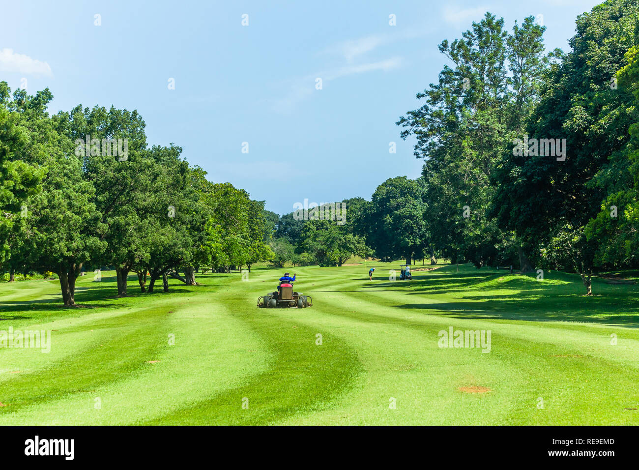 Golf course hole players lawn mower operator cutting grass scenic