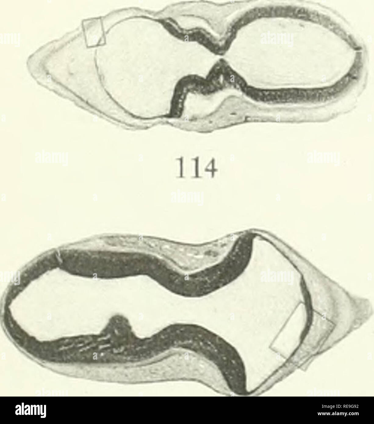 Page 321 N A R T High Resolution Stock Photography And Images Alamy
