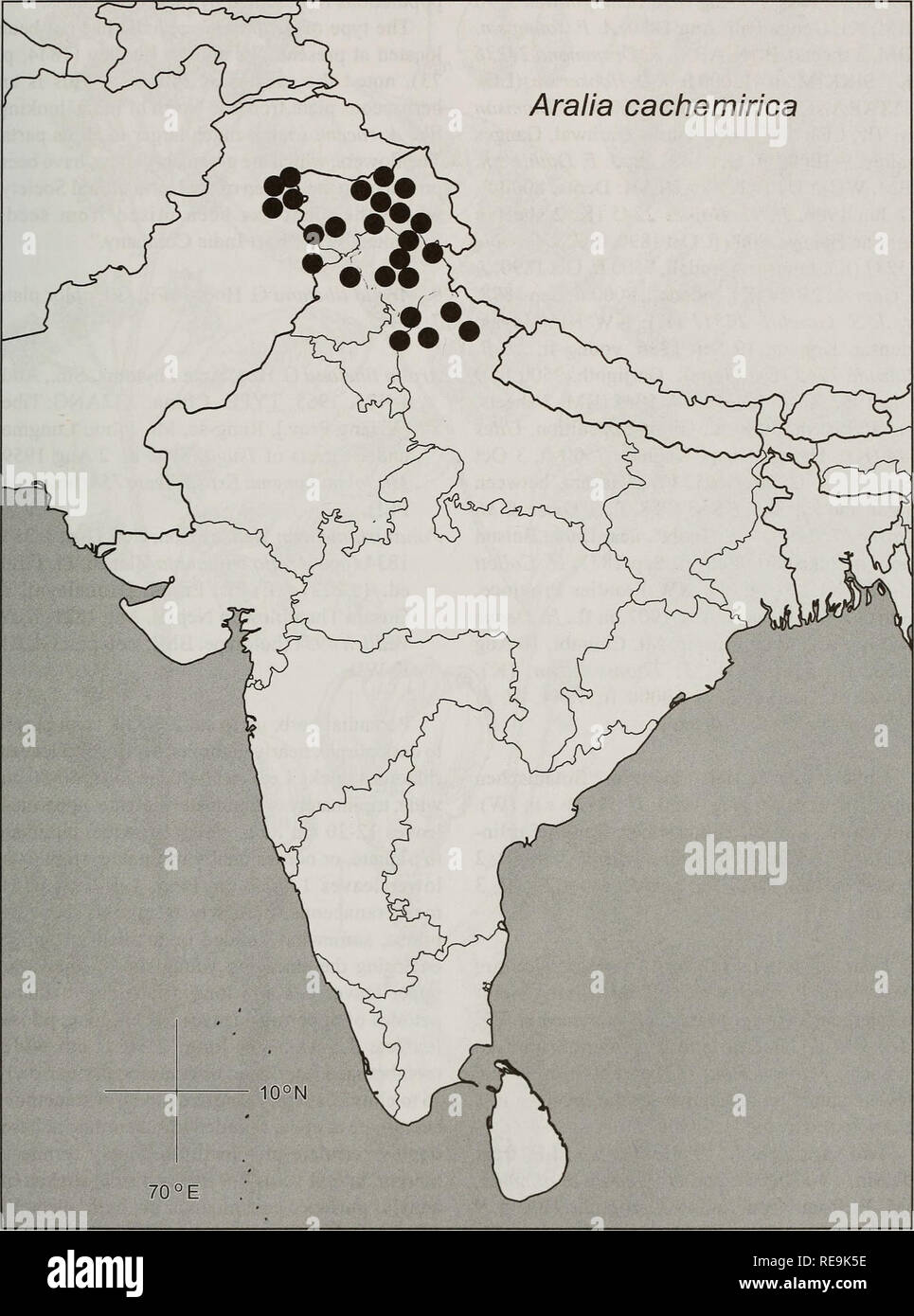. Contributions from the United States National Herbarium. Botany. Systematics of Aralia 89. Fig. 29. Map of India, Pakistan and neighboring regions showing the distribution of Aralia cachemirica Decne.. Please note that these images are extracted from scanned page images that may have been digitally enhanced for readability - coloration and appearance of these illustrations may not perfectly resemble the original work.. National Museum of Natural History (U. S. ). Dept. of Botany; United States National Museum. Washington, DC : Dept. of Botany, National Museum of Natural History Stock Photo