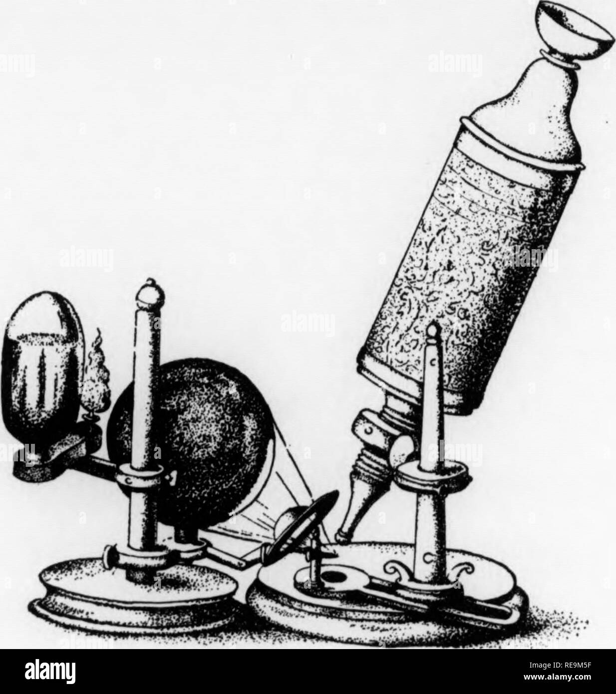 Robert hooke microscope hires stock photography and images Alamy