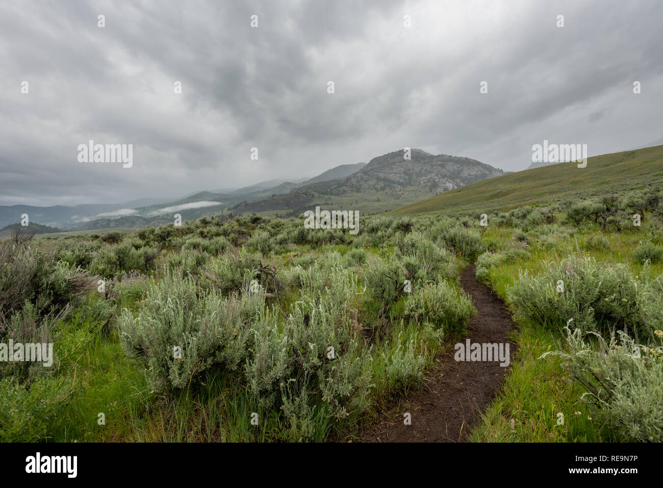 Specimen ridge trail hi-res stock photography and images - Alamy