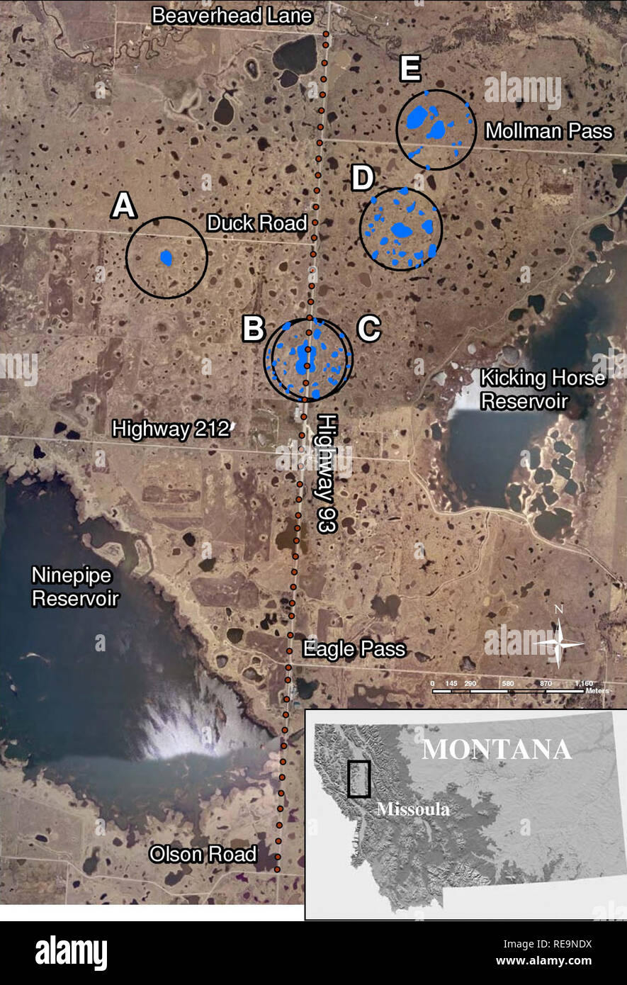 Habitat fragmentation road hires stock photography and images Alamy