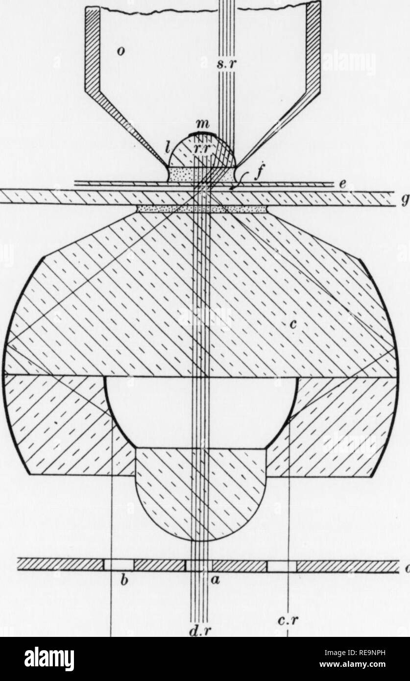 Condenser lens Black and White Stock Photos & Images Alamy