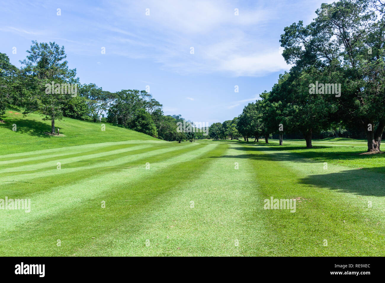 Golf course hole fairway trees prestine towards  flagstick green scenic summer coastal course Stock Photo