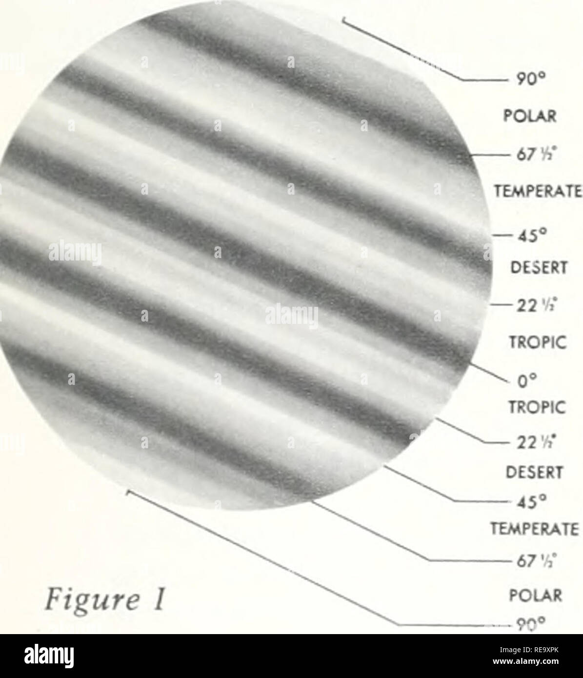 The Continent We Live On. Physical Geography; Natural History. An  Explanation And Glossary Of Special Terms. Figure I Our Planet As It Would  Appear If There Were No Oceans Or Mountains The Continent We Live On. Physical Geography; Natural History. An  Explanation And Glossary Of Special Terms. Figure I Our Planet As It Would  Appear If There Were No Oceans Or Mountains