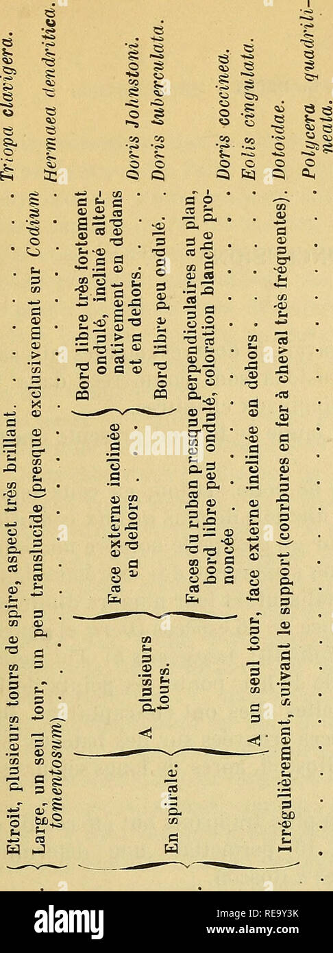 Os Ce O La High Resolution Stock Photography And Images Alamy Os Ce O La High Resolution Stock Photography And Images Alamy