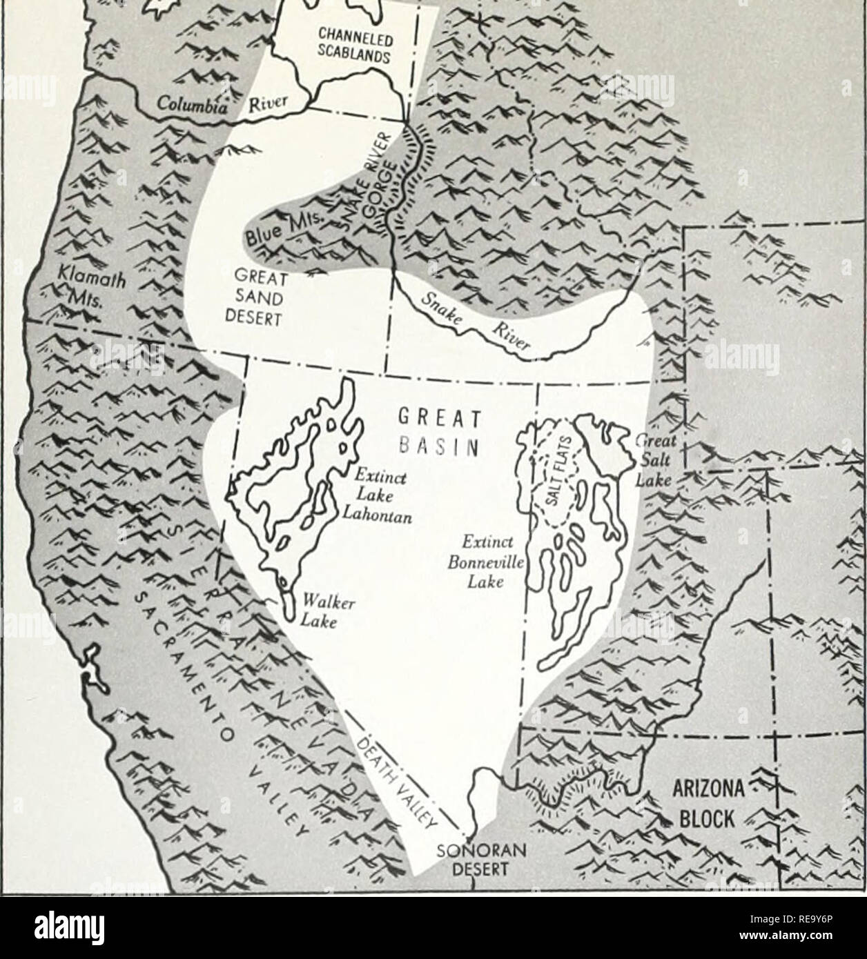 douluo continent 41