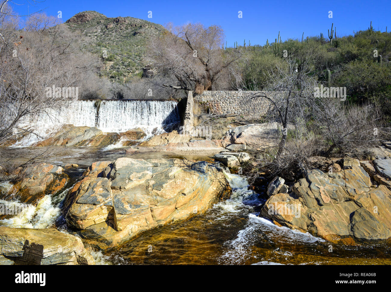 The mountain water runoff flows to the Sabino Canyon Dam in the desert