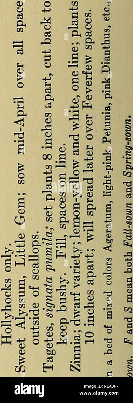 Continuous Bloom In America Floriculture Gardening A P If O H Co Co P Lt Lt 1 1 4 A G 1 A T3 0 O W 1a1 1a1