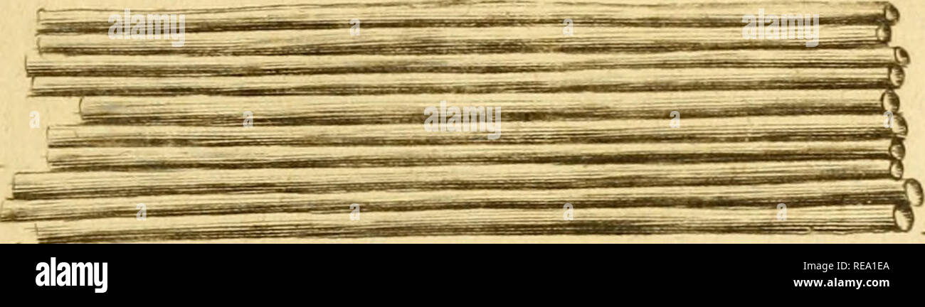 Encrease Stock s & Encrease Stock Alamy Encrease Stock s & Encrease Stock Alamy