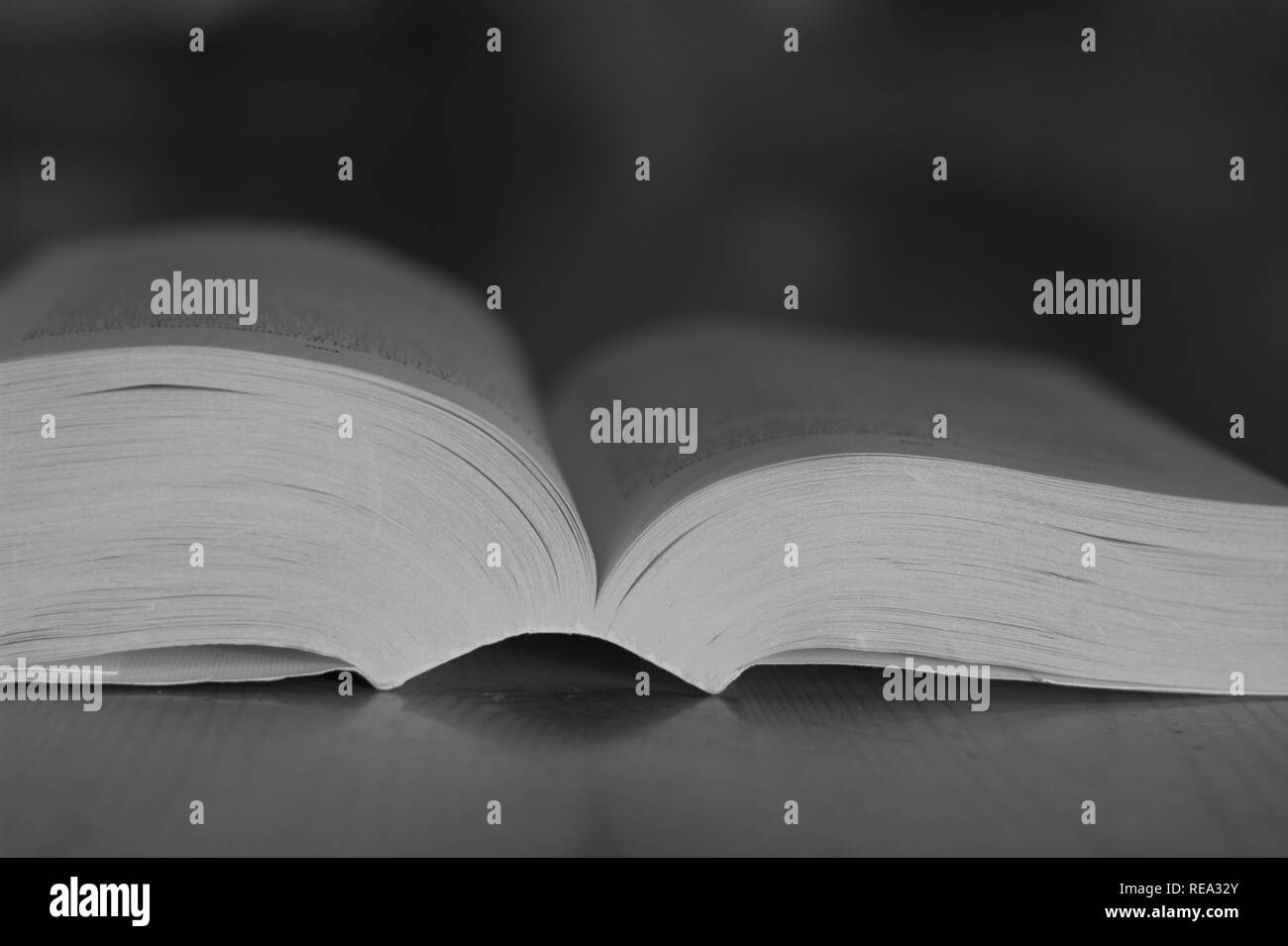 an open book Stock Photo Alamy