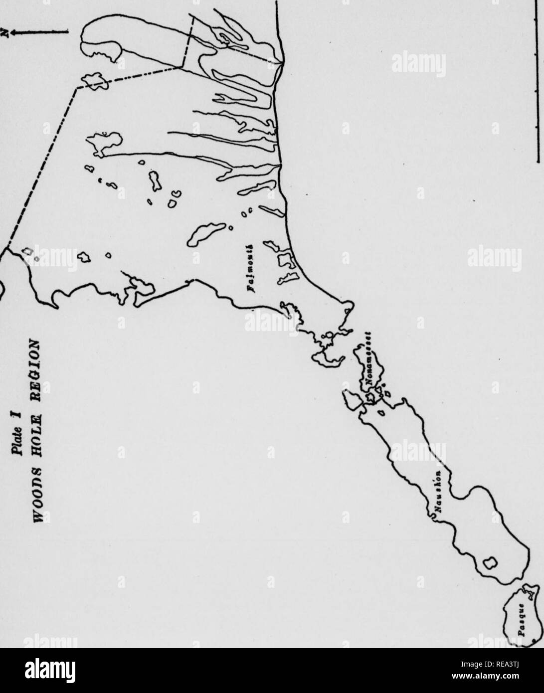 . Contributions from the Botanical Laboratory, vol. 12. Botany; Botany. 102 The Fresh Water Algae of Number Name ^^^^ 107 GOSNOLD POND (CUTTYHUJSTK POND), (WEST END POND) CUTTYHUNK 108 MUD HOLE-CUTTY CUTTYHUNK 109 BAERIER PONDS-CUTTY CUTTYHUNK 110 SOUTH POND-2 PENIKESE 123 PASTURE POND-EAST NAUSHON 124 GROVE PUDDLE NONAMESSET 128 WELL POND NONAMESSET 129 BLUE GATE BOG NAUSHON 141 TERN POND PENIKESE 150 CRANE POND NAUSHON 151 RED MEADOW POND NAUSHON 158 WEST END SWAMP NAUSHON 162 KETTLE COVE POND NAUSHON 163 SILVER BEACH POND NAUSHON 164 CARY POND-NORTH NAUSHON 165 SCAR SPRING NAUSHON 177 DUNE  Stock Photo