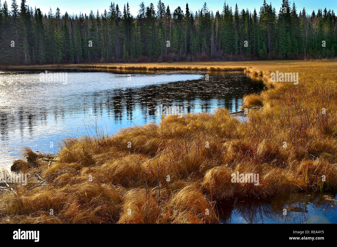 Changing lake hires stock photography and images Alamy