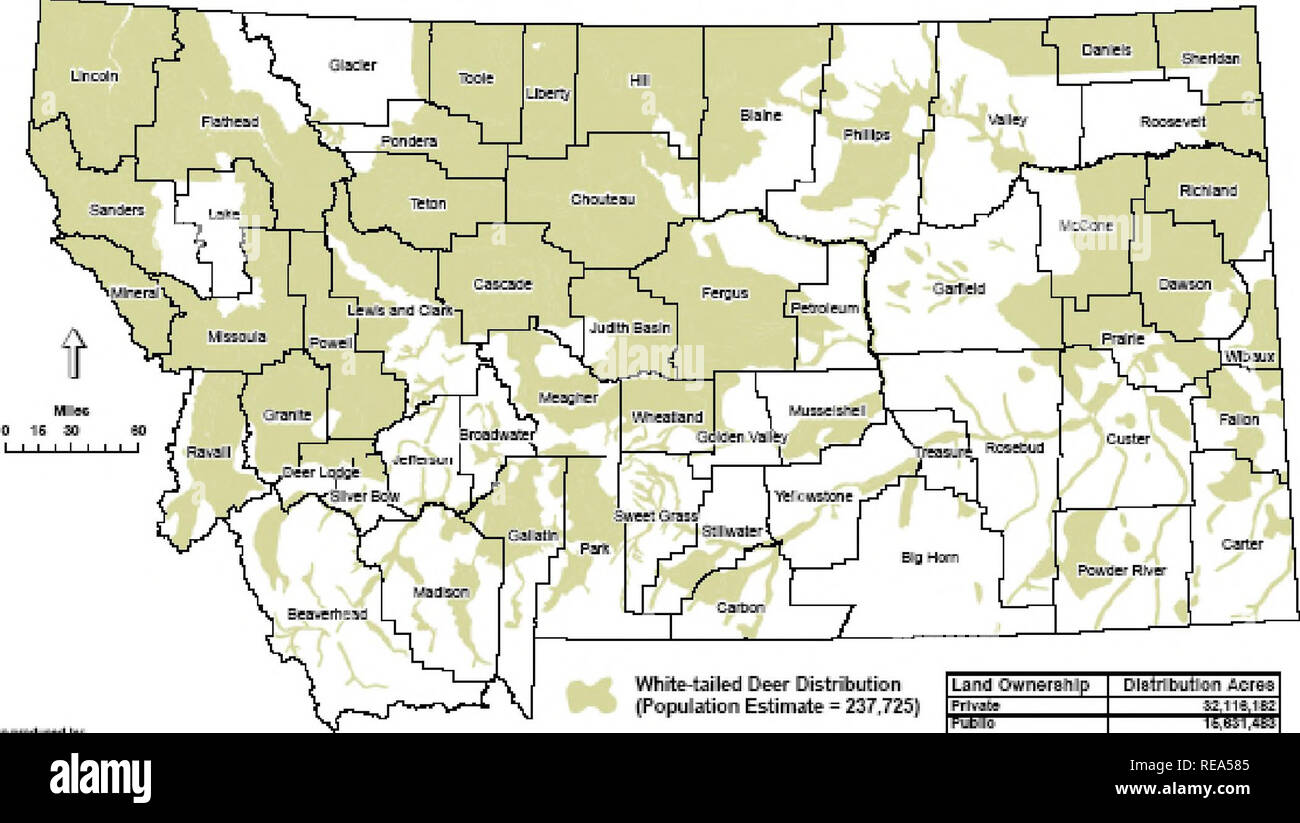 Chronic wasting disease deer hires stock photography and images Alamy