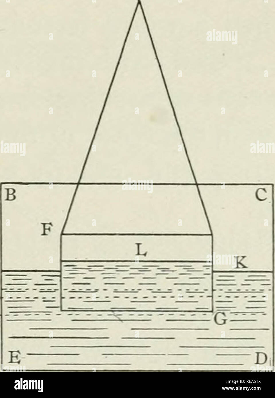 . Contributions. Biology