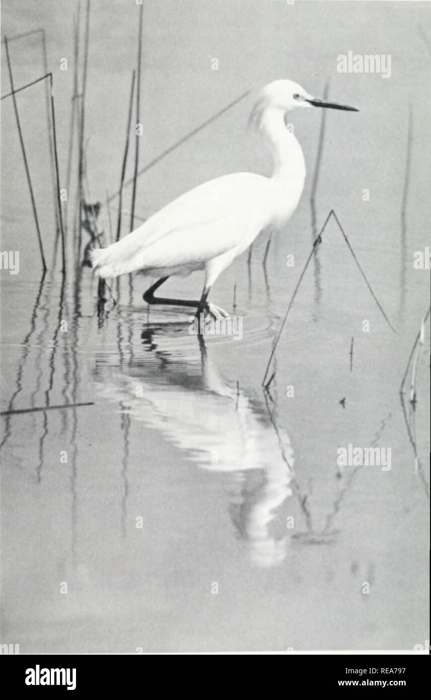 The Continent We Live On Physical Geography Natural History In