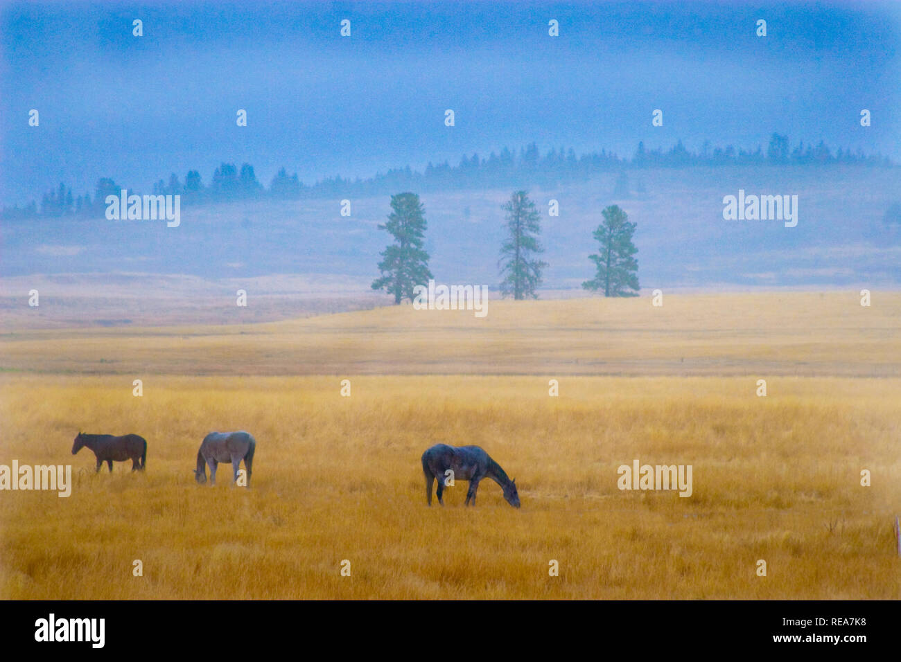 Blackfoot mountains hi-res stock photography and images - Alamy