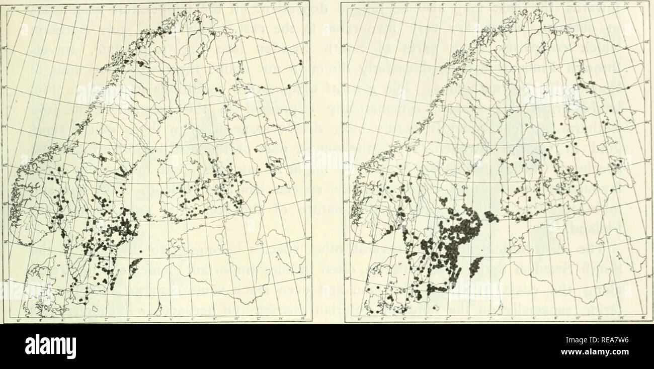 . The continental element in the flora of south Sweden. Botany -- Sweden. THE CONTINENTAL FLORA OF SOUTH SWEDEN 319. Fig. 13. The distribution of Viola rupestris in the Scandinavian North. O: uncertain occurrences. Fig. 14. The distribution of Ranunculus polyanthemos in the -Scandinavian North. 0: uncertain occurrences. rences. It agrees well with the occurrence of the species in north-eastern Finland; From a rich distribution in large parts of South Finland (»In Fennia australi et media plerumque satis frequenter*, Hjelt) it stretches eastwards, with isolated occurrences high up in the north; Stock Photo