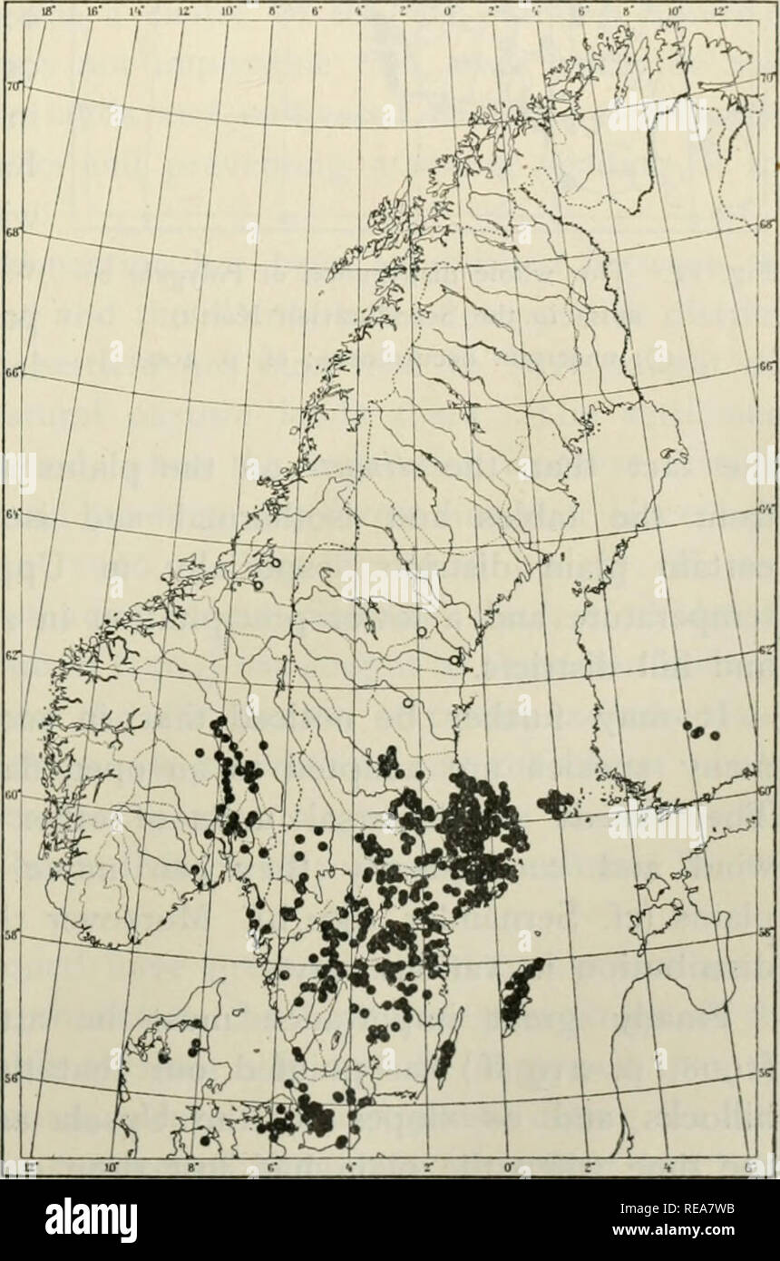 . The continental element in the flora of south Sweden. Plants. THE CONTINENTAL FLORA OF SOUTH SWEDEN 315 tliemos (p. 319), Scseli libanotis (p. 334), Trifolium montanum (p. 301), and Viola rupestris (p. 319), and the following for which no distribution maps have been drawn up: Centaurea jacea (it might be ([uestioncd whether it is spontaneous in other places than Skane, h-ilbygdcn and the Omberg district), Fragaria viridis (richly distributed on the Central Swedish plains, especially in Uppland, Vaster- gotland and Ostergotland), Medicago falcata (universally distributed in Skane, south-west Stock Photo