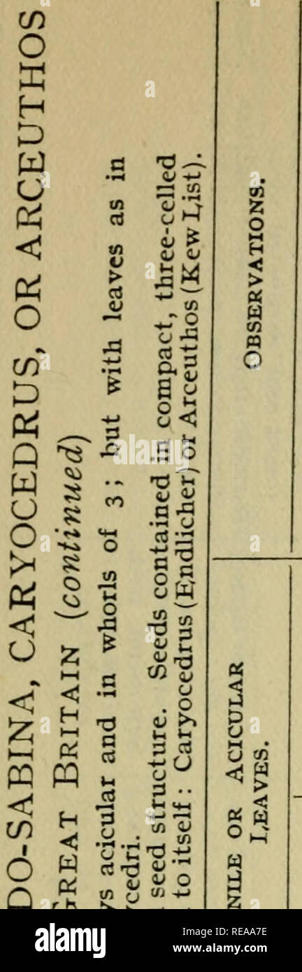 Page 7 Iai C High Resolution Stock Photography And Images Alamy