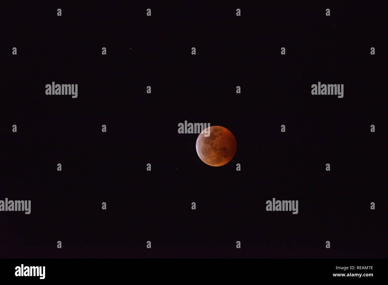 2019 lunar eclipse america hi-res stock photography and images - Alamy