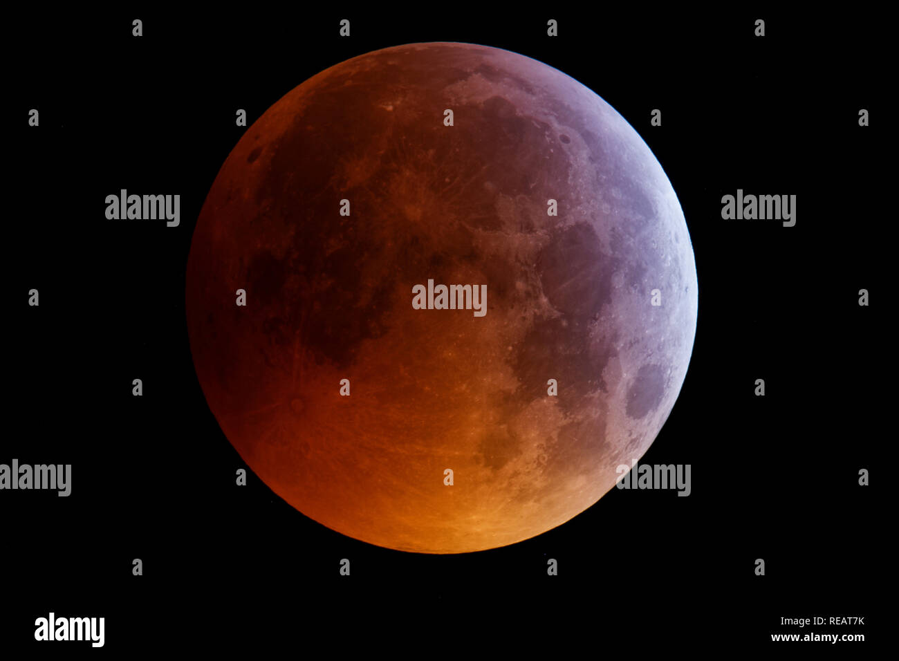 Devil's Dyke, West Sussex, UK, 21st January, 2019. Total eclipse of the Moon of 21 January 2019 at 04:53 am, photographed from Devil's Dyke, West Sussex, UK. Credit Jamie Cooper/Galaxy Credit: Galaxy Picture Library/Alamy Live News Stock Photo