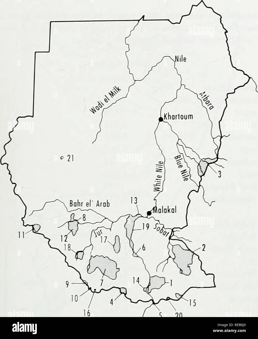 . The Conservation Atlas of Tropical Forests: Africa. Eastern Africa. 5 20 Figure 17.2 Conservation areas of Sudan (.Source: Hillman, 1985) albidwii, Erythrophlewn, Entandrophragina angolense, Holoptelea graitdis, Khaya, Maesopsis emimi and AHiaa are typical canopy species and genera. There are no recent reliable estimates of forest cover in Sudan. The World Bank (1986) gives an overall forest area estimate of 940,000 sq. km, with 16,200 sq. km of tropical high forest, all in south Equatoria Province. FAO (1988a) estimates a total of 6400 sq. km of closed forest, based on data in FAOAJN'EP (19 Stock Photo