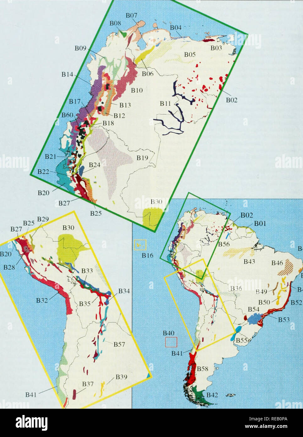 . The Conservation Atlas of Tropical Forests: the Americas. Establishing Conservation Priorities Using Endemic Birds Figure 4.4 The Endemic Bird Areas of South America. B45 B47 B48 40. Please note that these images are extracted from scanned page images that may have been digitally enhanced for readability - coloration and appearance of these illustrations may not perfectly resemble the original work.. Harcourt, C. S. , Sayer, J. A. , WCMC, CIFOR. IUCN Stock Photo
