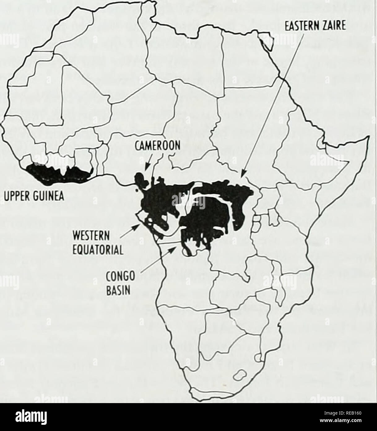 The Conservation Atlas of Tropical Forests: Africa. Case Studies in  Conserving Large Mammals Table 4.5 Endangered subspecies of African forest  primates Location Lower Tana River, Kenya Uzungwa Mountains, Tanzania  Eastern Cote