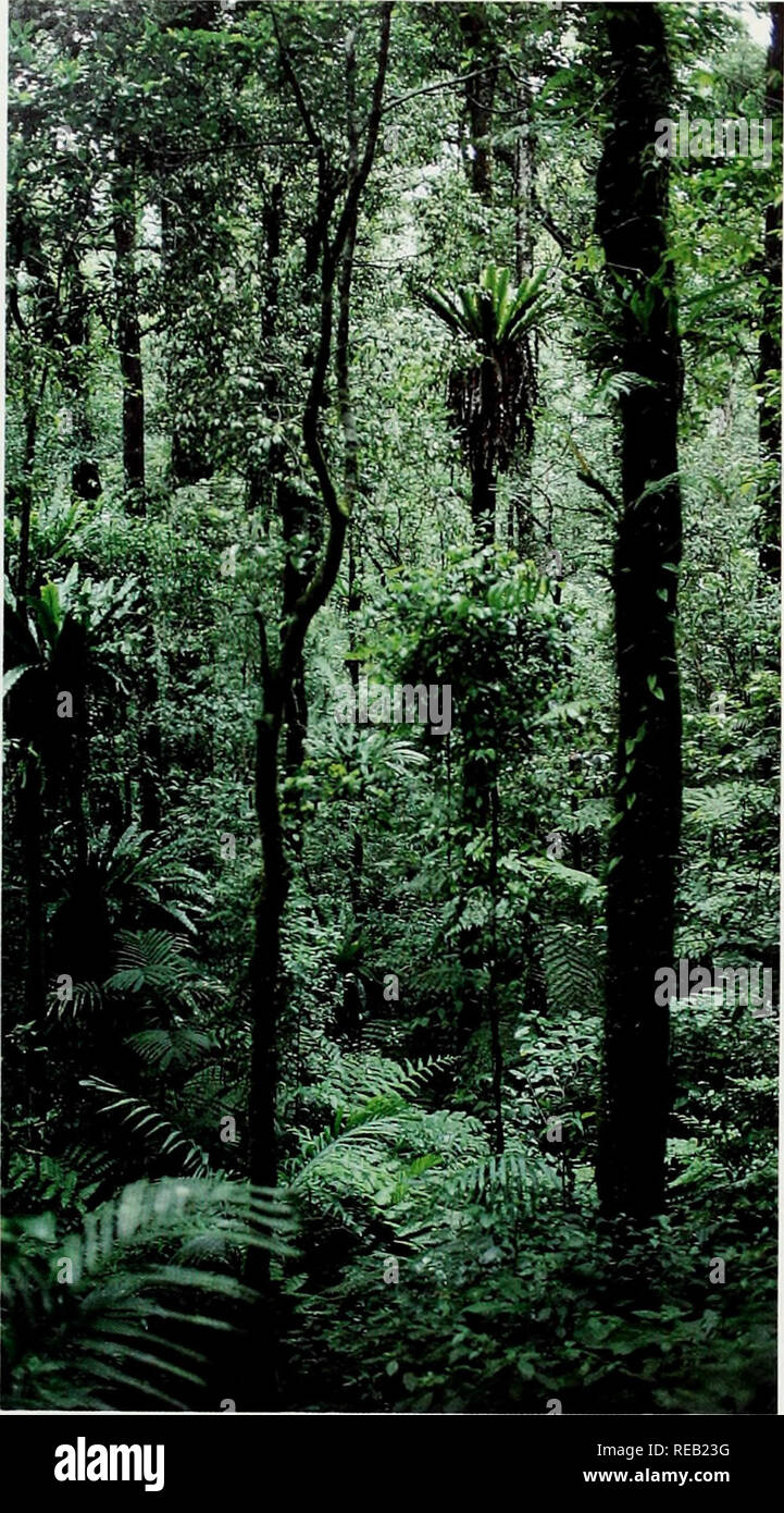 . The Conservation Atlas of Tropical Forests: Asia and the Pacific ...