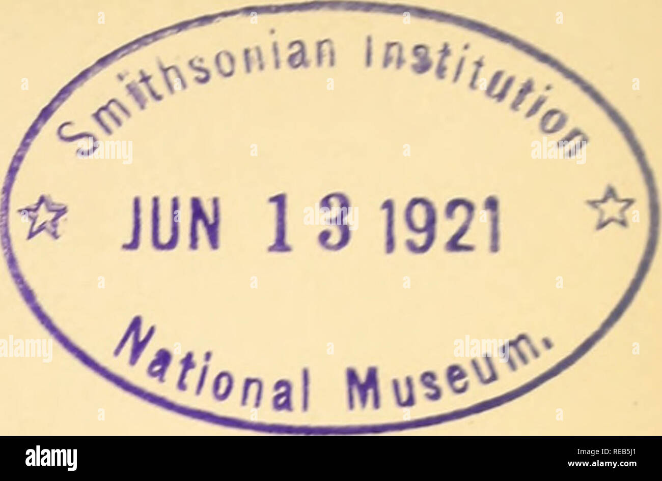 Calliope hummingbird yosemite hires stock photography and images Alamy