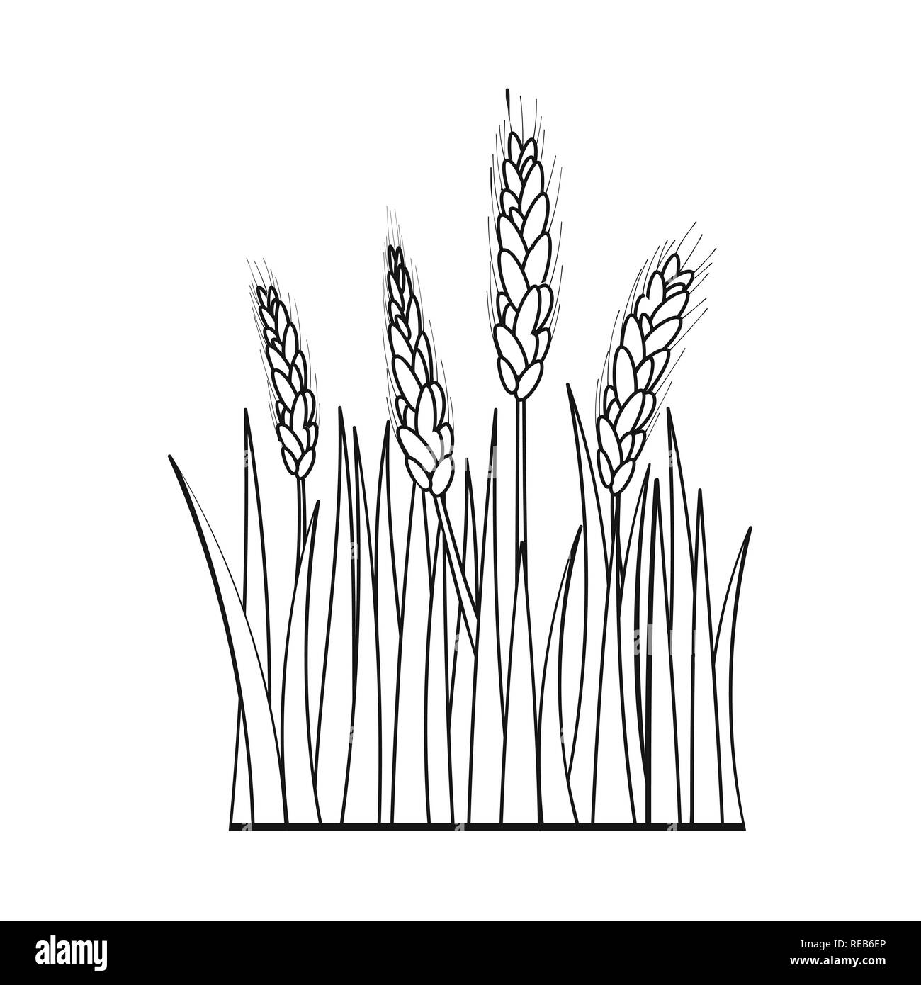 spring,spike,barley,land,cornfield,crop,countryside,autumn,ripe,bread,wheat,corn,grain,harvest