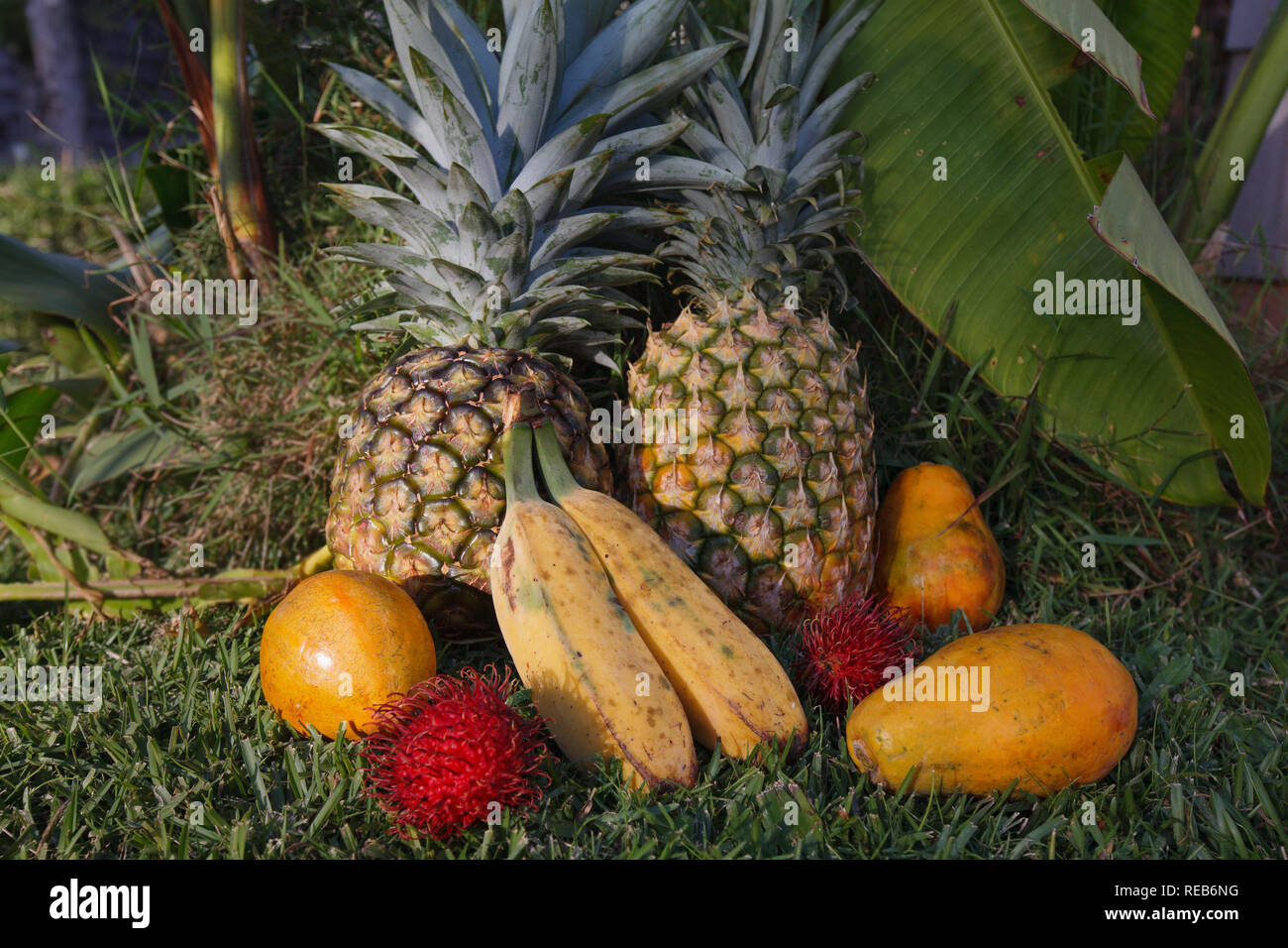 Tropical Fruits in Kauai, Hawaii Stock Photo Alamy