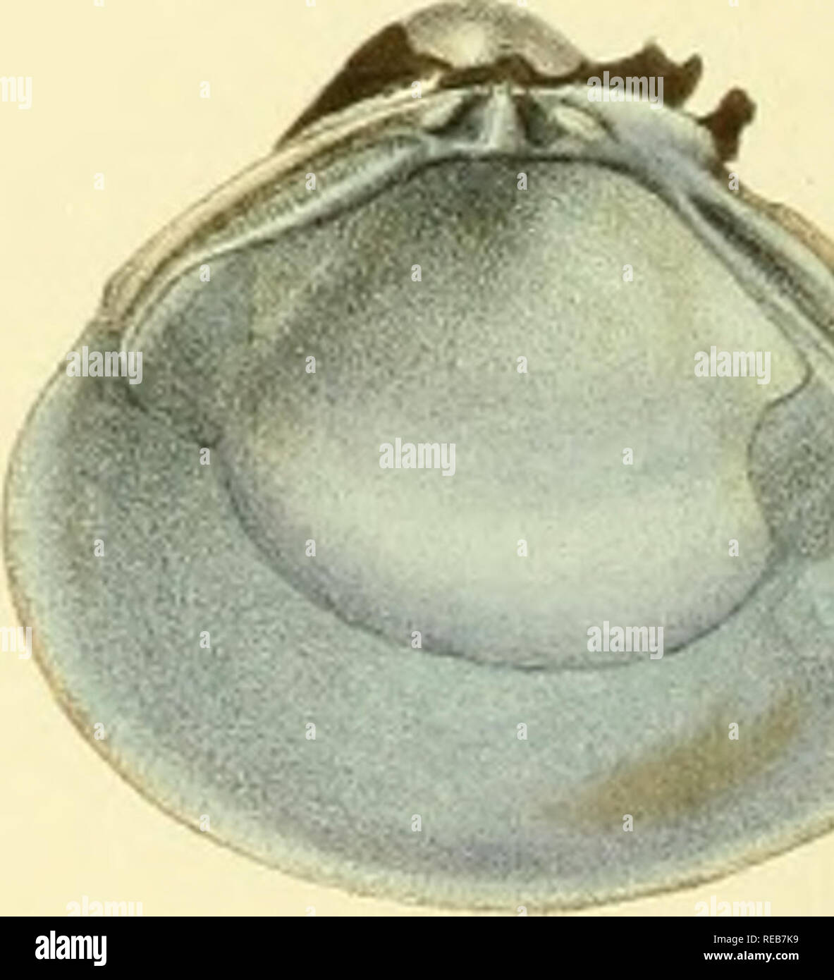 Marie y pierre hires stock photography and images Alamy