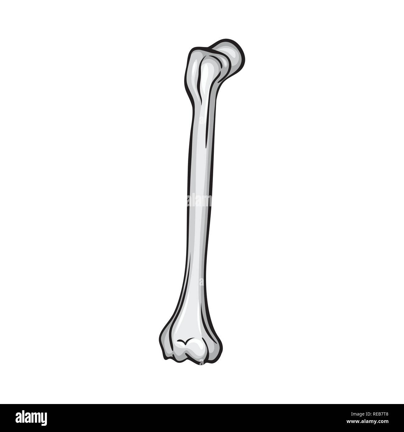 Human shin bone hi-res stock photography and images - Alamy