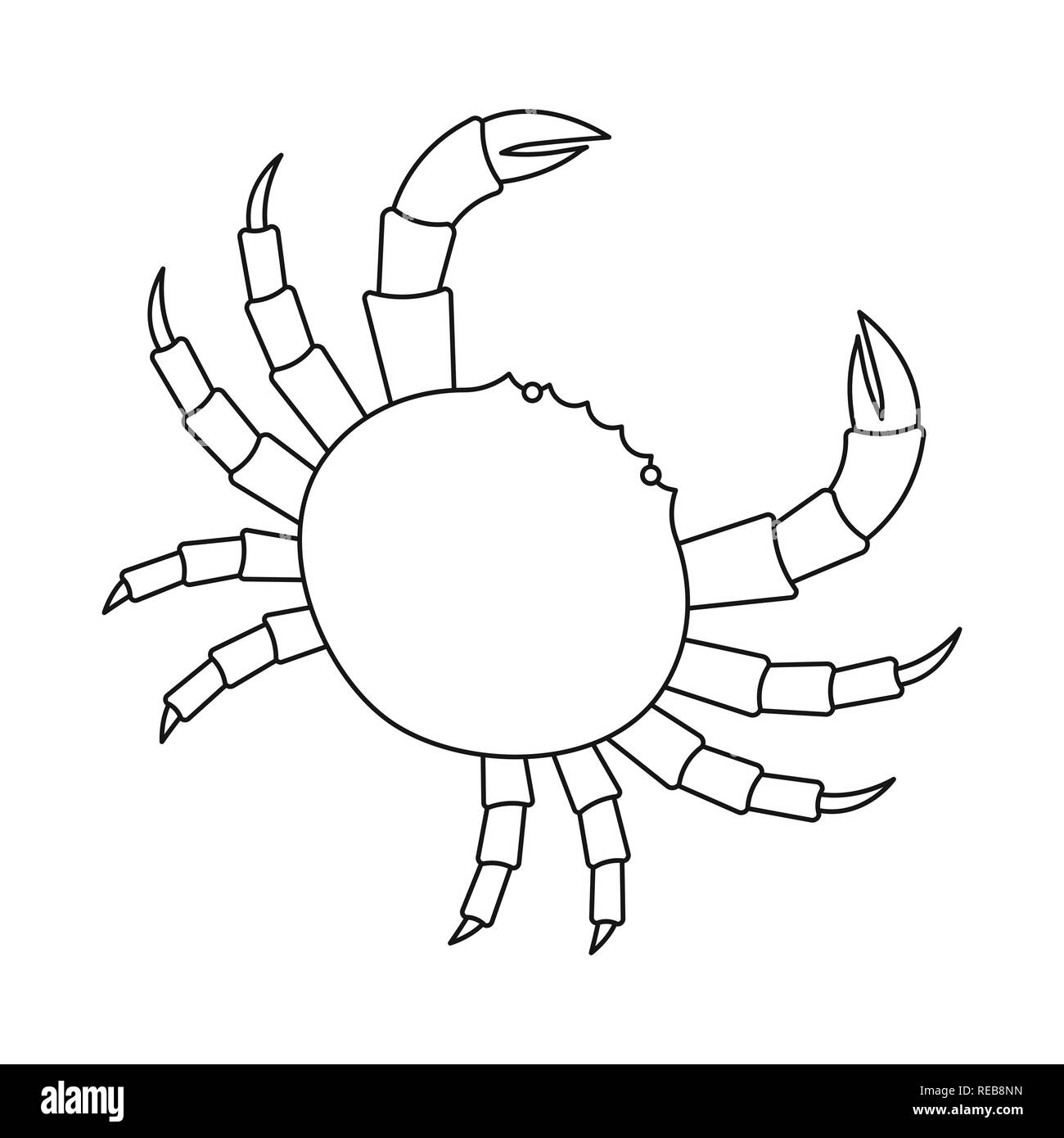 crab,shell,red,shellfish,beach,fish,water,tentacles,food,sea,seafood ...