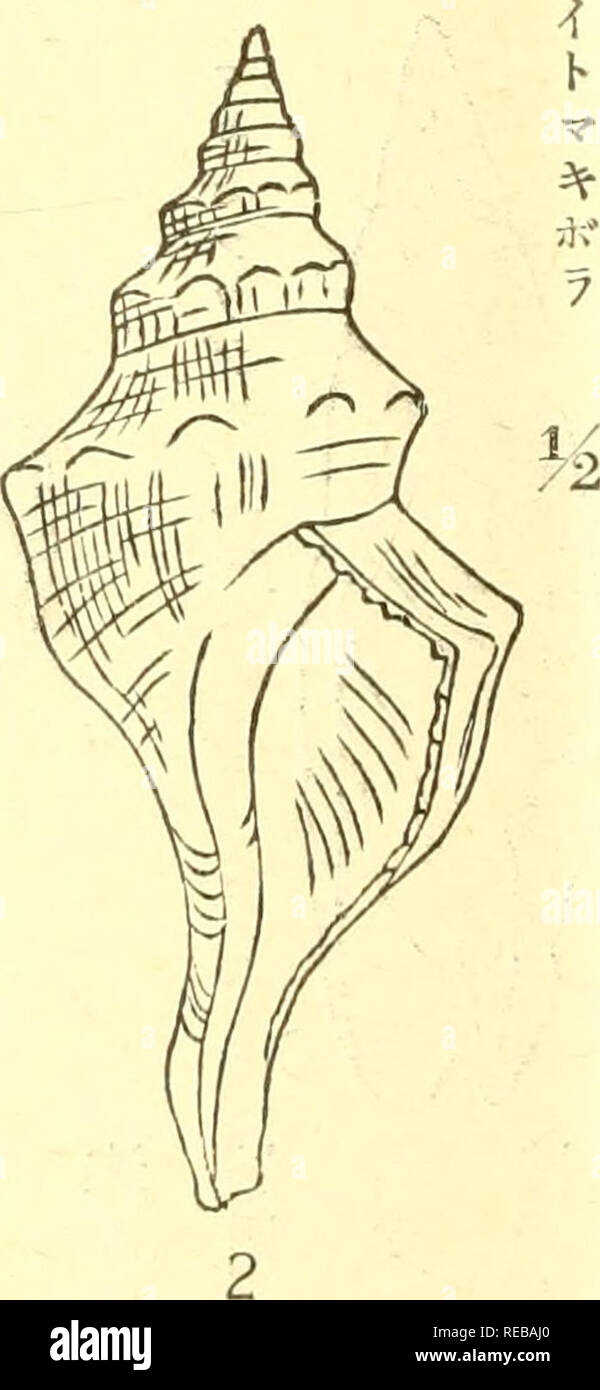 Ae Iai º High Resolution Stock Photography And Images Alamy