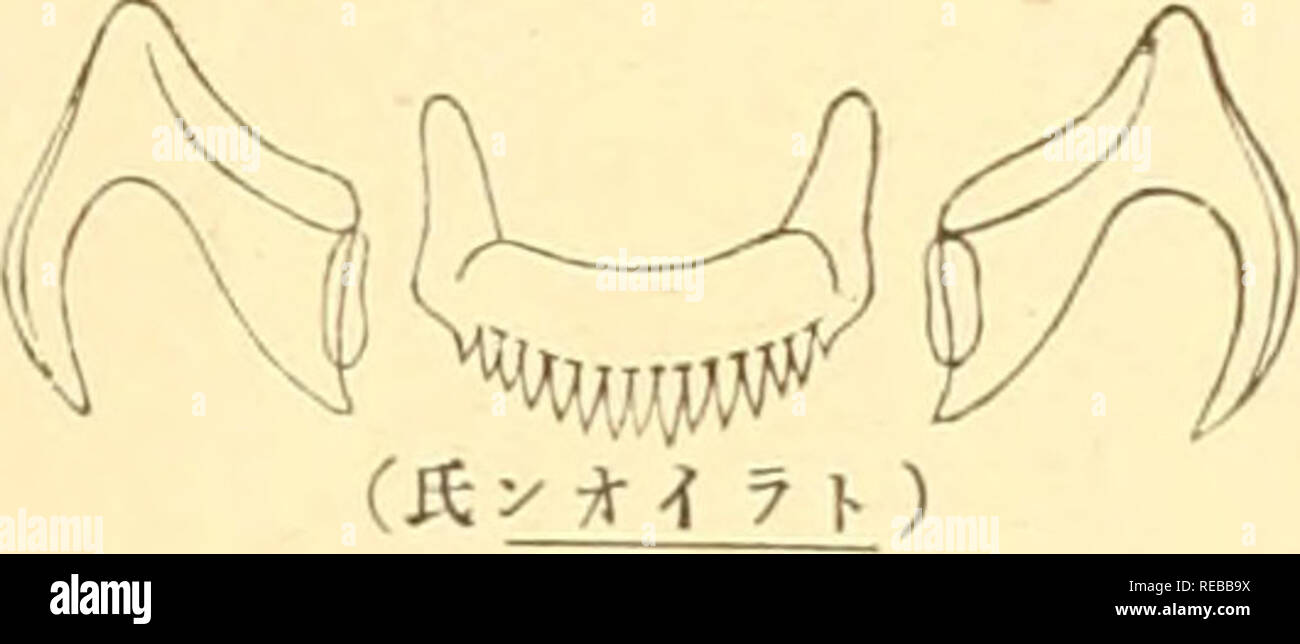 Vysrlv9xwuvbkm Vysrlv9xwuvbkm