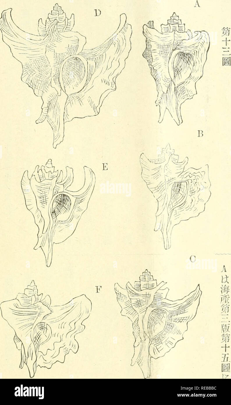 Sowb High Resolution Stock Photography And Images Alamy