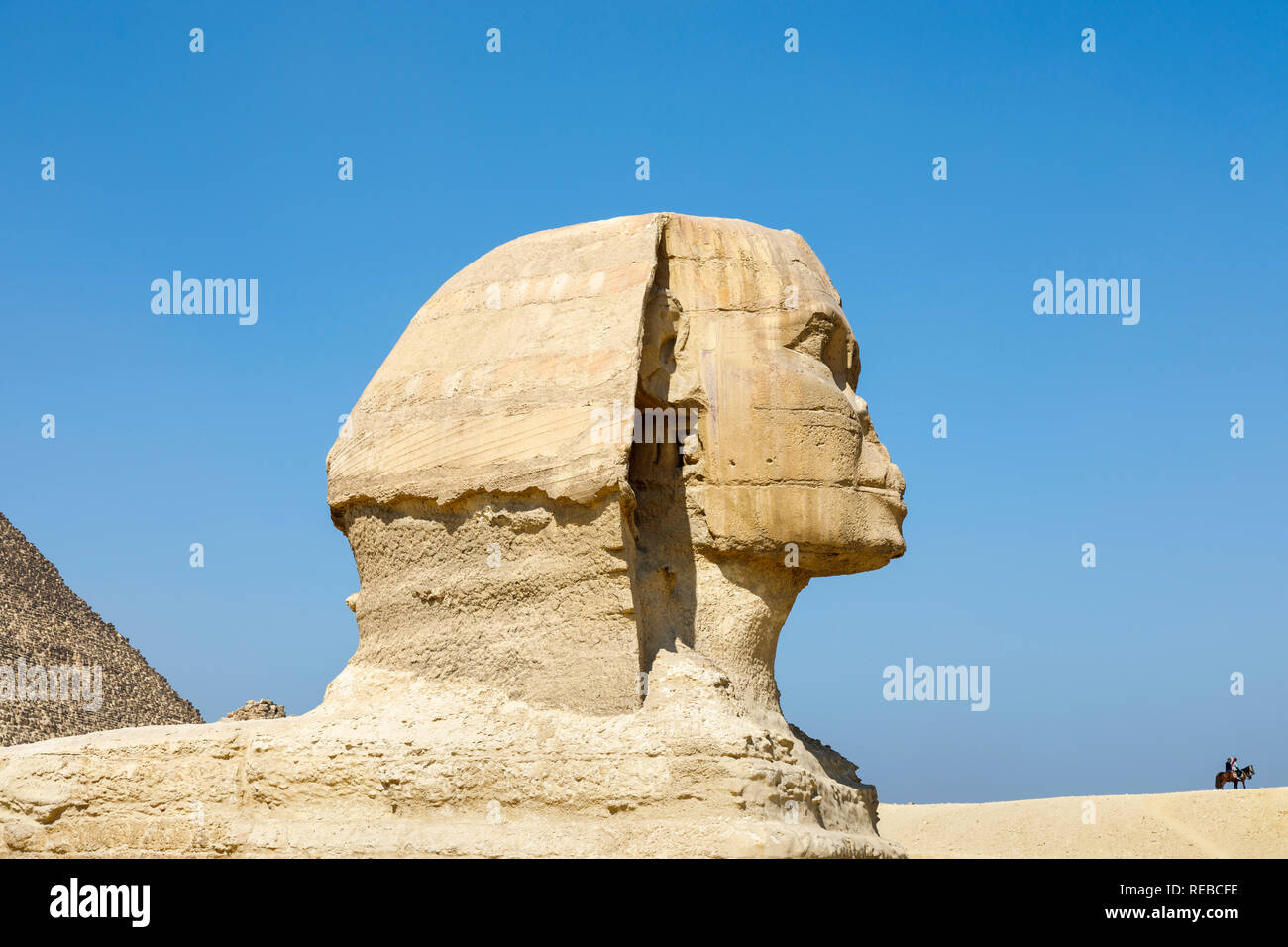 Side view of the large head of the iconic monumental sculpture, the Great Sphinx of Giza, Giza Plateau, Cairo, Egypt against a clear blue sky Stock Photo