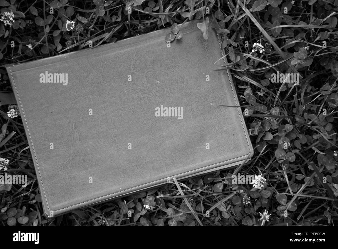 Monochrome notepad on the green grass in park. Stock Photo