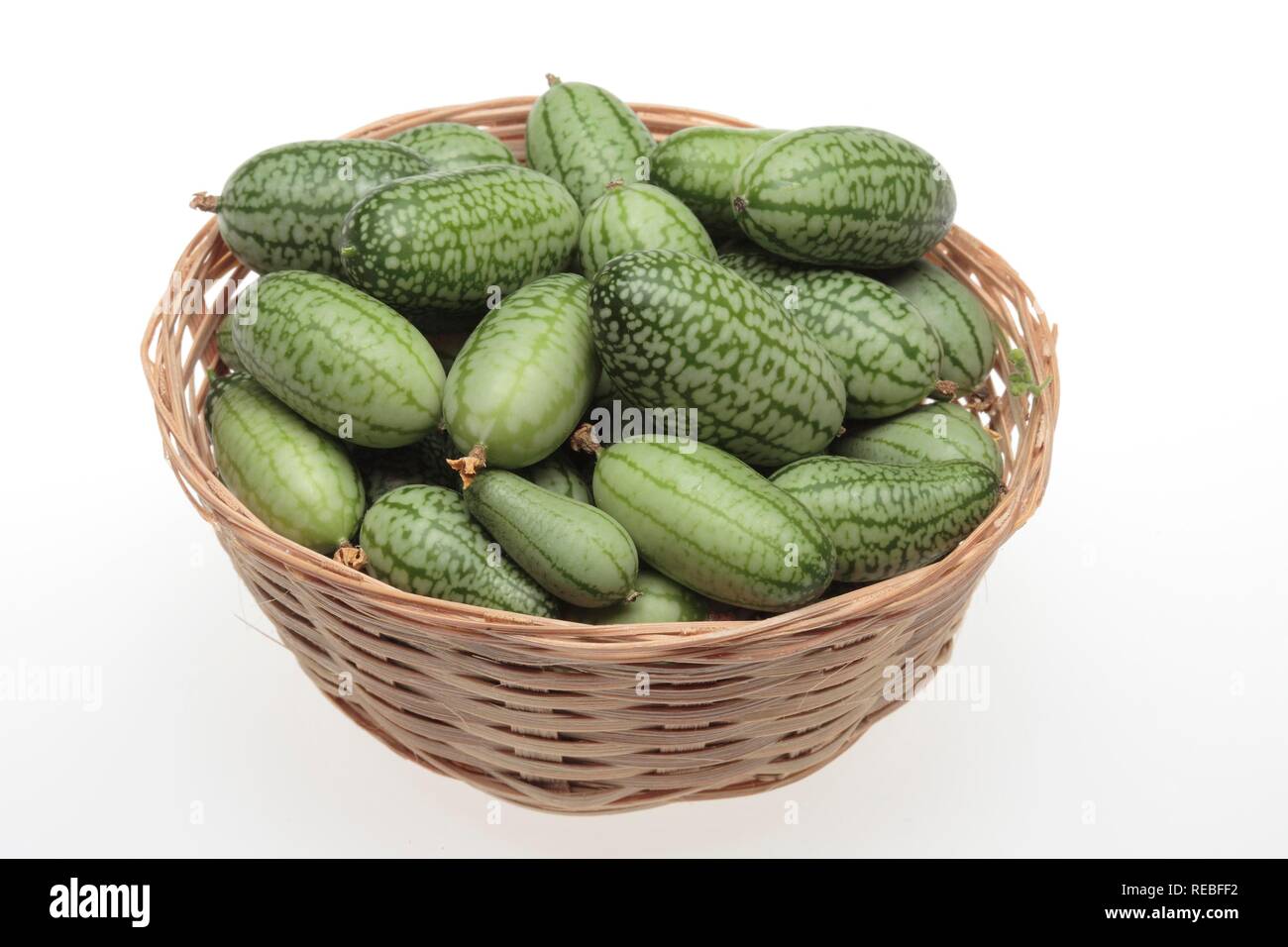 Mexican Sour Gherkin, Mexican Miniature Watermelon or Mouse Melon (Meliothria scabra), Vegetable Stock Photo