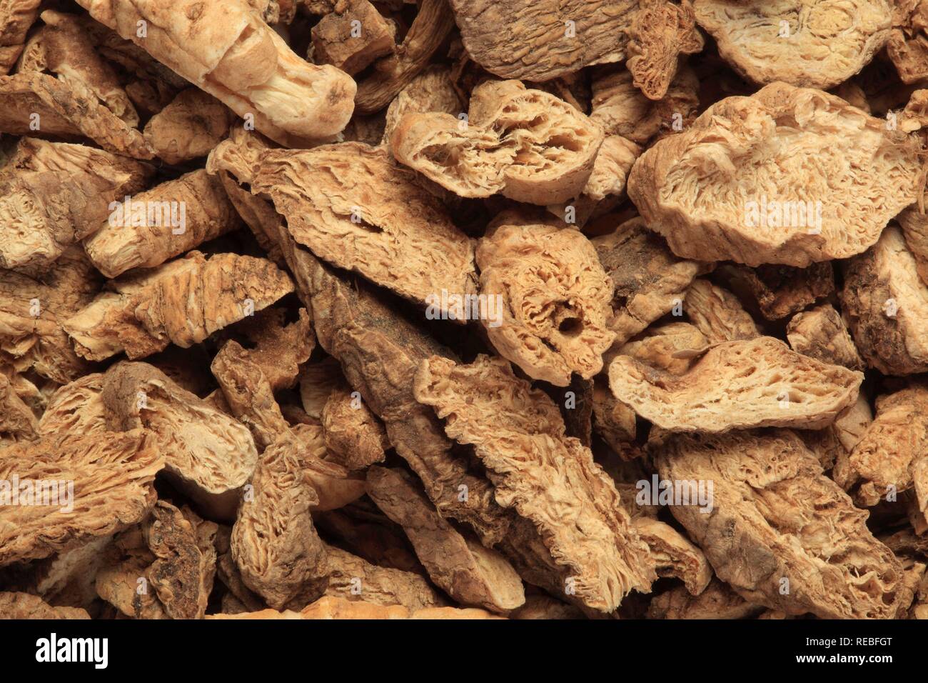 Medicinal plant Adenophora radix, Nan Sha Shen, dried roots Stock Photo