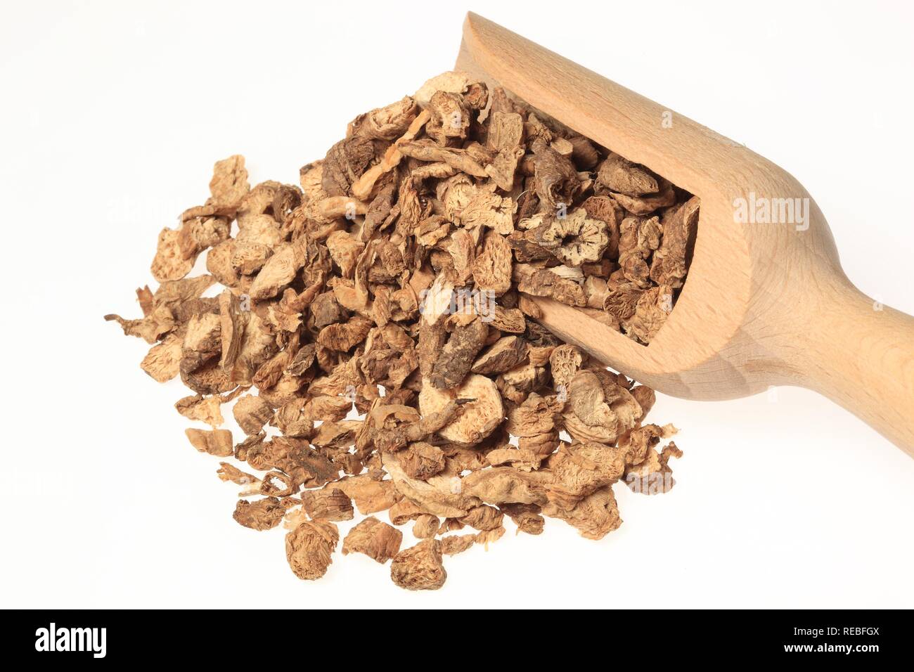 Medicinal plant Adenophora radix, Nan Sha Shen, dried roots Stock Photo