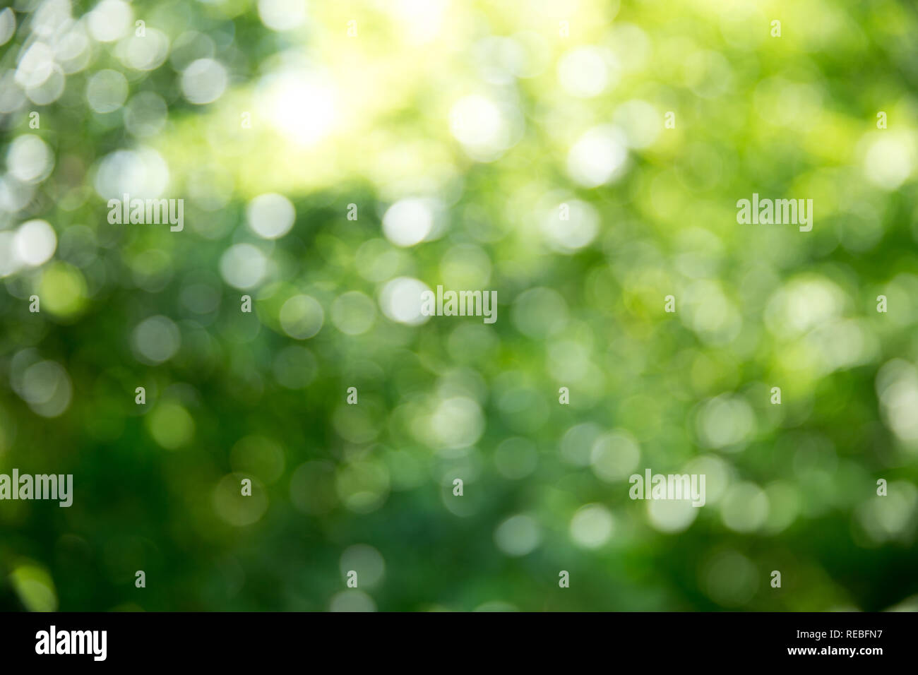 Green bokeh background hi-res stock photography and images - Alamy