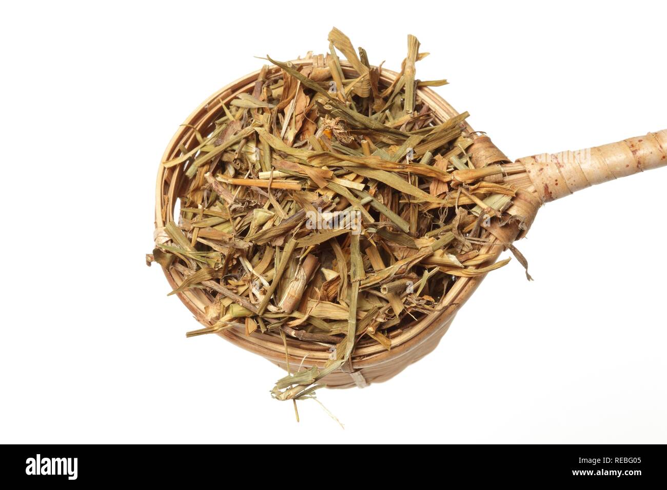 Dried leaves of the medicinal plant Fringed Pink, Superb Pink, (Dianthus superbus), Qu mai Stock Photo